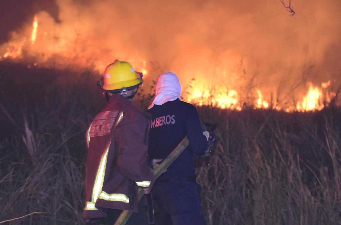 Incendios han disminuido más del 50% en lo que va del 2025 en Ibagué