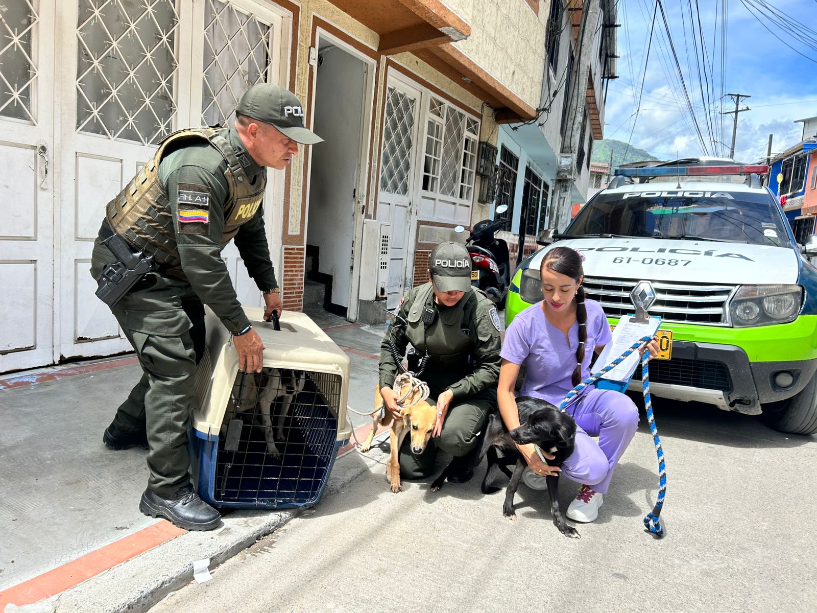 El CAPA y la Policía Ambiental salvaron a cuatro perros y un gato
