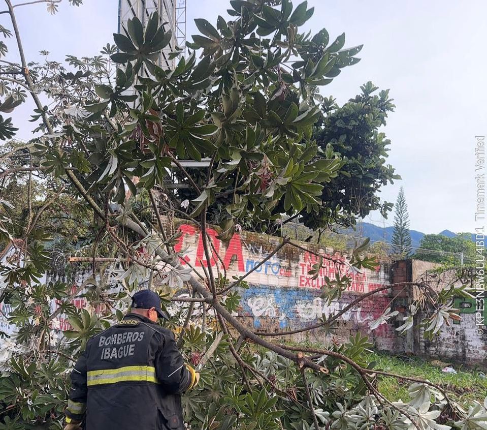 Organismos de socorro atendieron 20 emergencias por tormenta eléctrica en Ibagué