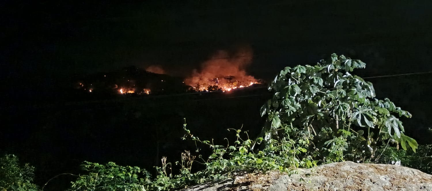 320 hectáreas afectadas por incendios en el Tolima durante septiembre