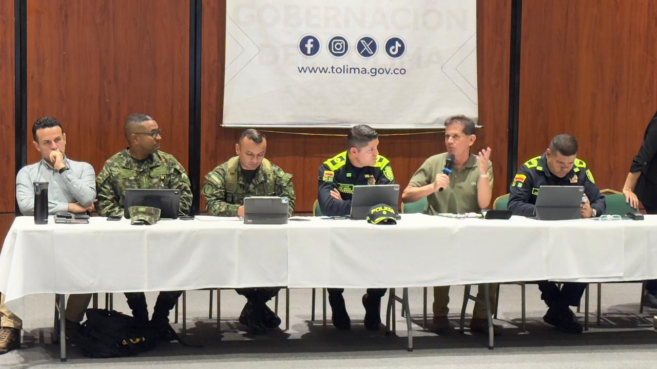Gobernación del Tolima pidió no suspender operativos contra la minería ilegal en el territorio