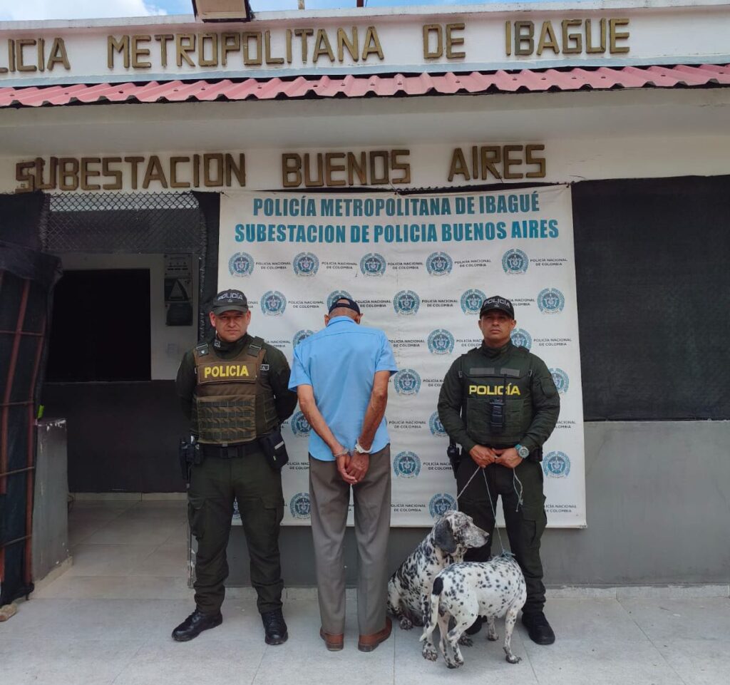 CAPA atiende a dos perros que fueron hallados colgados de un árbol en Ibagué